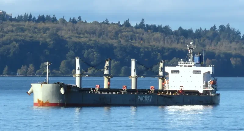 ATLANTIC TULUM Bulk Carrier IMO 9403035
