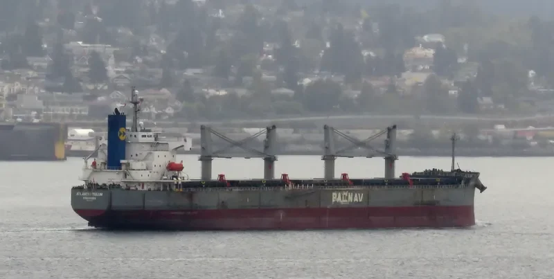 ATLANTIC TULUM Bulk Carrier IMO 9403035 photo 2
