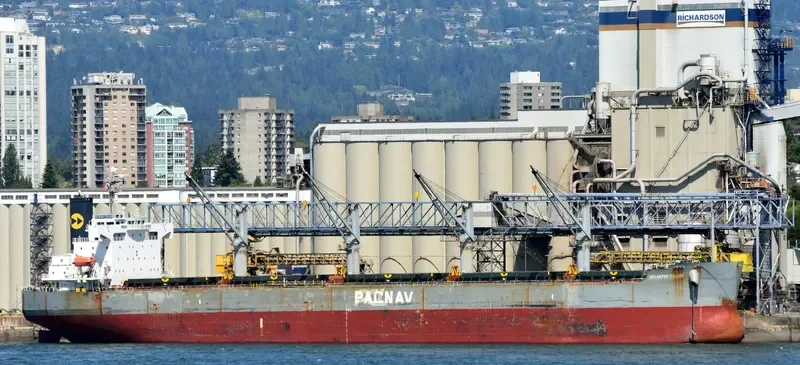 ATLANTIC TULUM Bulk Carrier IMO 9403035 photo 4