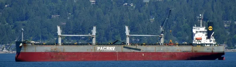 ATLANTIC TULUM Bulk Carrier IMO 9403035 photo 6