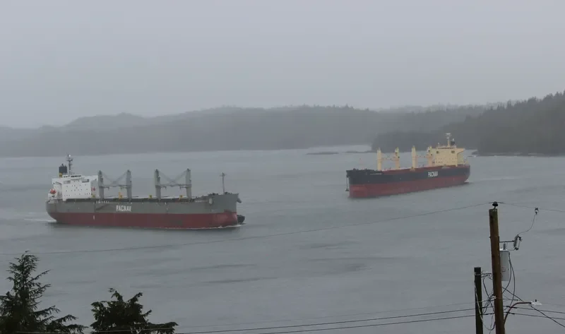 ATLANTIC TULUM Bulk Carrier IMO 9403035 photo 10