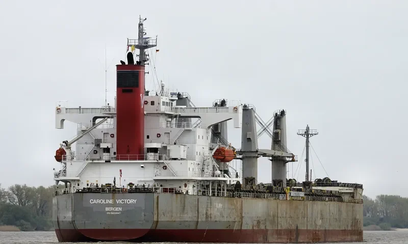 NEW VICTORY Bulk Carrier IMO 9403047 photo 2