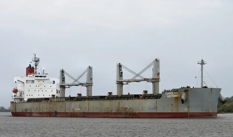 NEW VICTORY Bulk Carrier IMO 9403047 photo 4