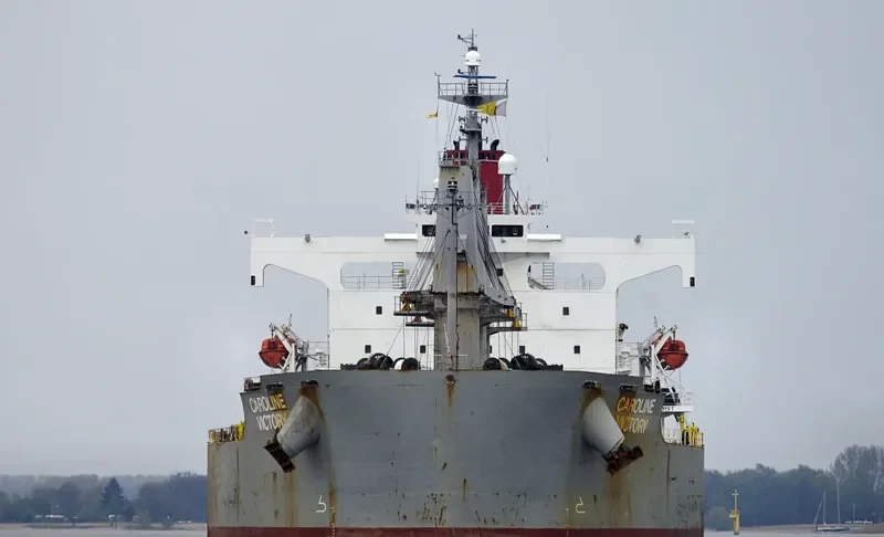 NEW VICTORY Bulk Carrier IMO 9403047 photo 6