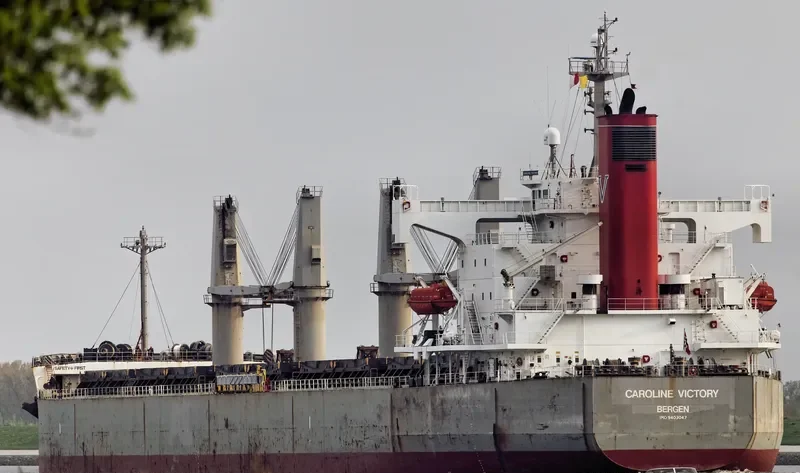 NEW VICTORY Bulk Carrier IMO 9403047 photo 7