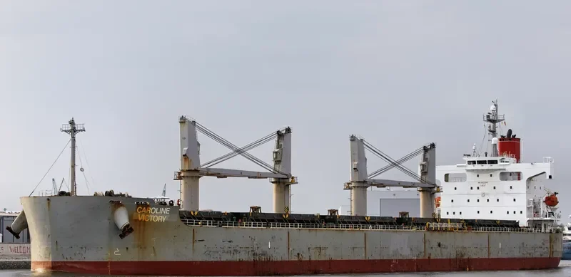 NEW VICTORY Bulk Carrier IMO 9403047 photo 8