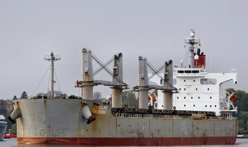 NEW VICTORY Bulk Carrier IMO 9403047 photo 9