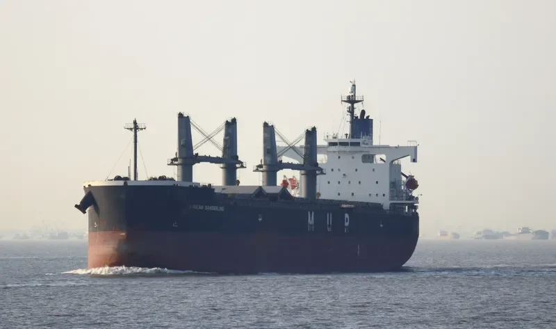 AFRICAN SANDERLING Bulk Carrier IMO 9403059