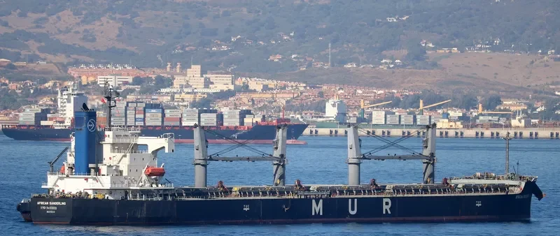 AFRICAN SANDERLING Bulk Carrier IMO 9403059 photo 2