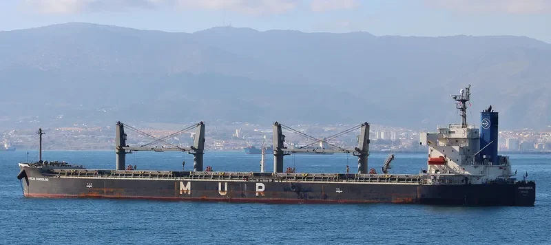 AFRICAN SANDERLING Bulk Carrier IMO 9403059 photo 3