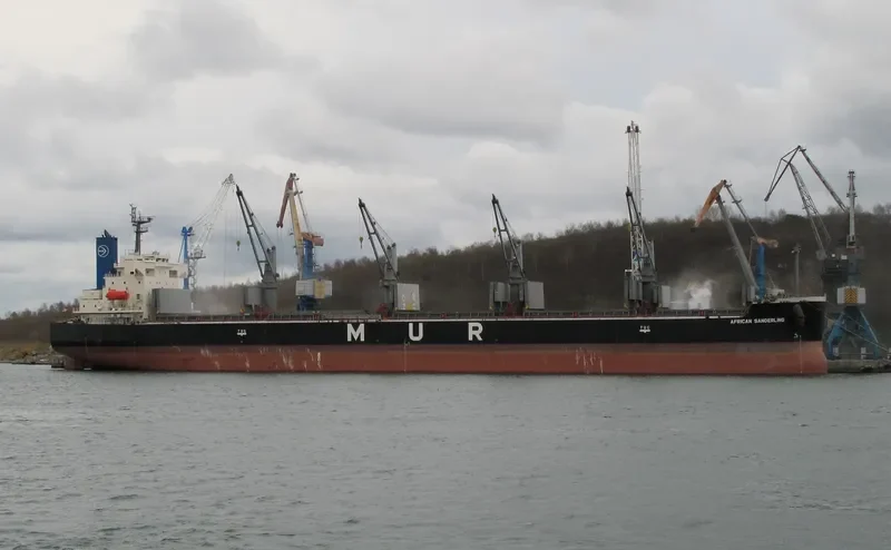 AFRICAN SANDERLING Bulk Carrier IMO 9403059 photo 5