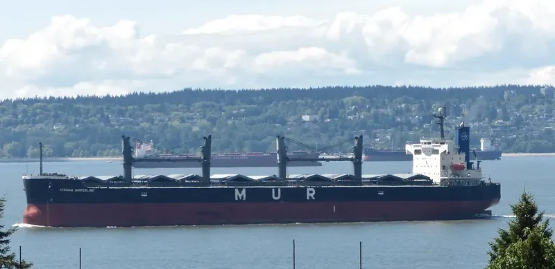 AFRICAN SANDERLING Bulk Carrier IMO 9403059 photo 6
