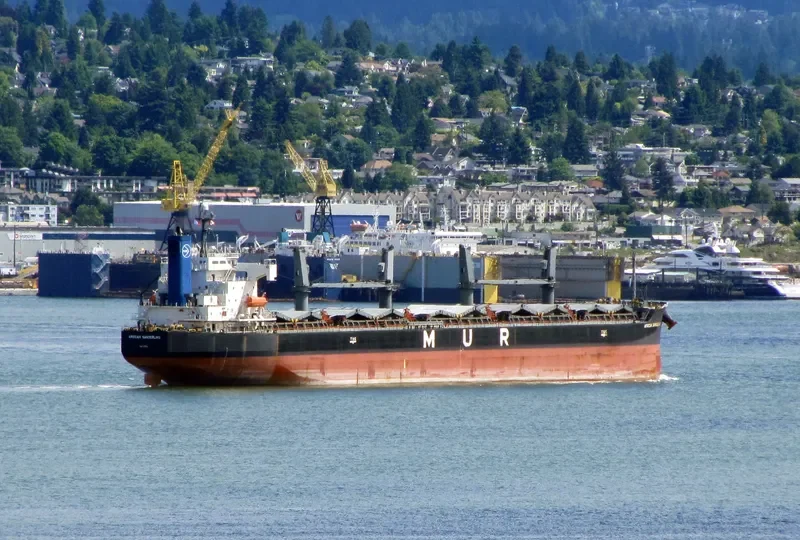 AFRICAN SANDERLING Bulk Carrier IMO 9403059 photo 7