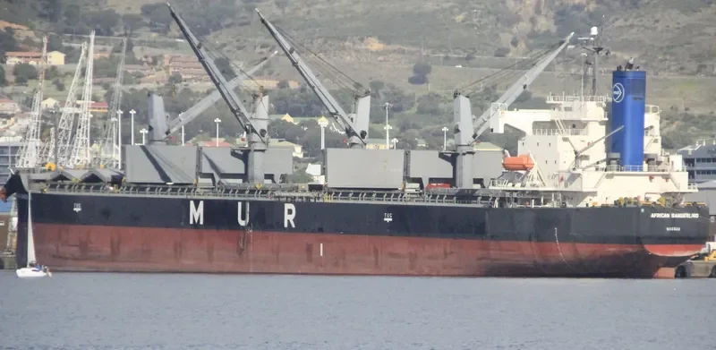 AFRICAN SANDERLING Bulk Carrier IMO 9403059 photo 8