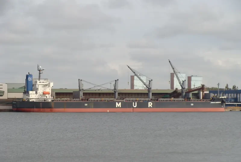 AFRICAN SANDERLING Bulk Carrier IMO 9403059 photo 9