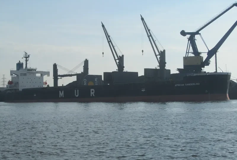 AFRICAN SANDERLING Bulk Carrier IMO 9403059 photo 10