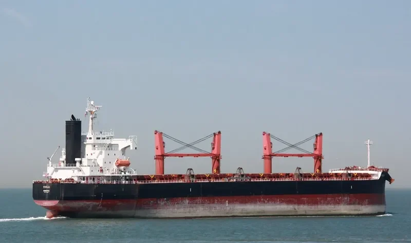 JIN RONG Bulk Carrier IMO 9403061