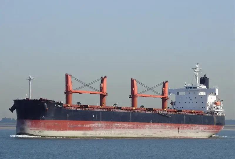 JIN RONG Bulk Carrier IMO 9403061 photo 2