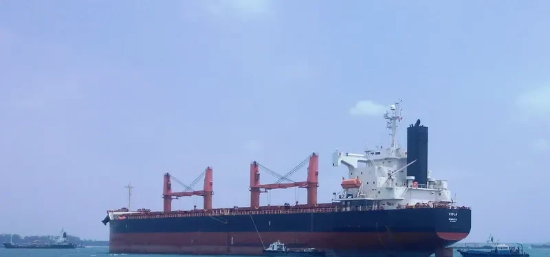 JIN RONG Bulk Carrier IMO 9403061 photo 10