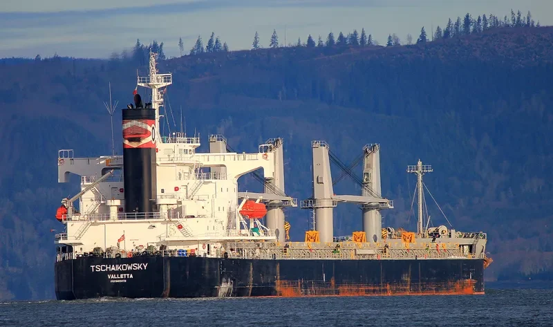 LEON OETKER Bulk Carrier IMO 9403073