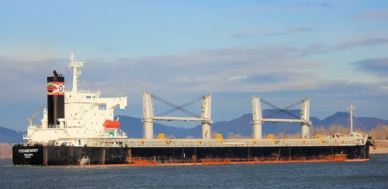 LEON OETKER Bulk Carrier IMO 9403073 photo 2