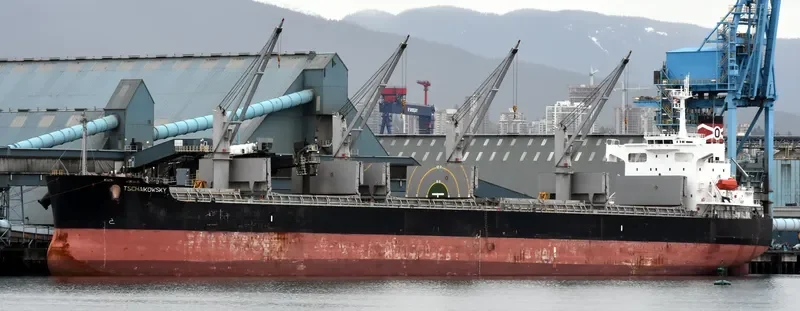 LEON OETKER Bulk Carrier IMO 9403073 photo 9