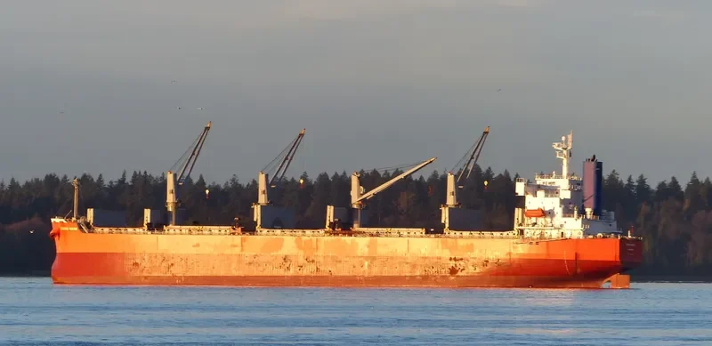 GLOBE CLEOPATRA Bulk Carrier IMO 9403085 photo 8