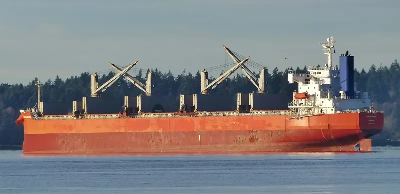 GLOBE CLEOPATRA Bulk Carrier IMO 9403085 photo 9