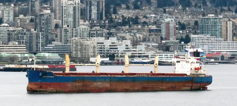 AKIJ STAR Bulk Carrier IMO 9403097 photo 4