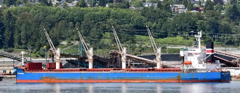 AKIJ STAR Bulk Carrier IMO 9403097 photo 6