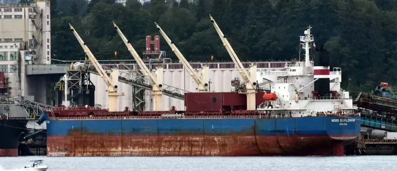 AKIJ STAR Bulk Carrier IMO 9403097 photo 7