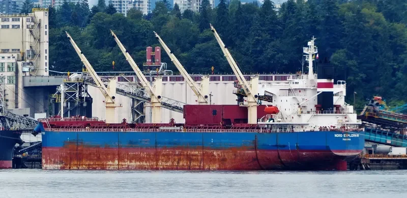 AKIJ STAR Bulk Carrier IMO 9403097 photo 9