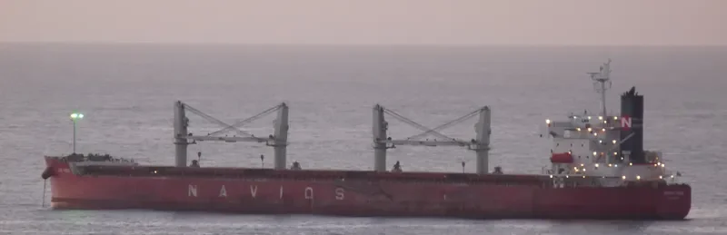 NAVIOS VEGA Bulk Carrier IMO 9403102