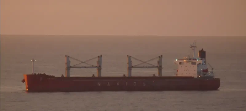 NAVIOS VEGA Bulk Carrier IMO 9403102 photo 2