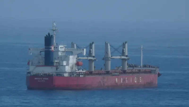 NAVIOS VEGA Bulk Carrier IMO 9403102 photo 3