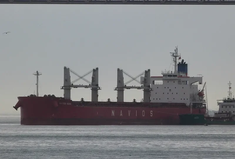 NAVIOS VEGA Bulk Carrier IMO 9403102 photo 5