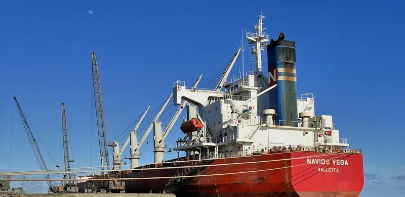 NAVIOS VEGA Bulk Carrier IMO 9403102 photo 6