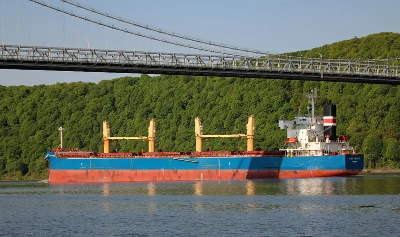 IRIS EXPRESS Bulk Carrier IMO 9403114 photo 2