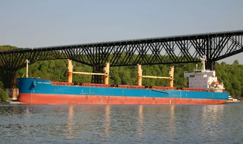 IRIS EXPRESS Bulk Carrier IMO 9403114 photo 3