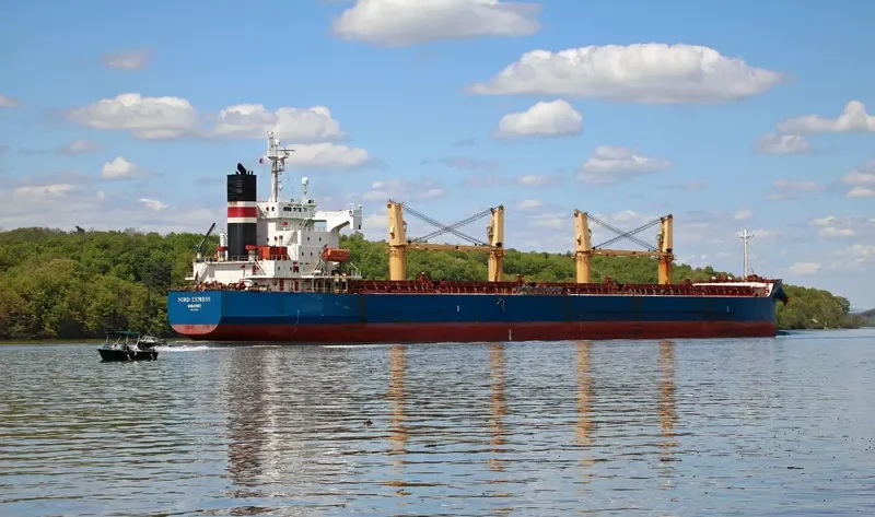 IRIS EXPRESS Bulk Carrier IMO 9403114 photo 4