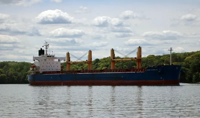 IRIS EXPRESS Bulk Carrier IMO 9403114 photo 5