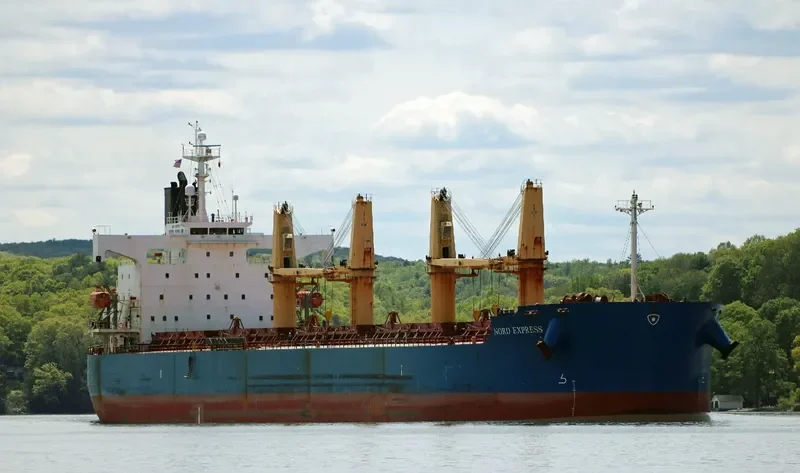 IRIS EXPRESS Bulk Carrier IMO 9403114 photo 6