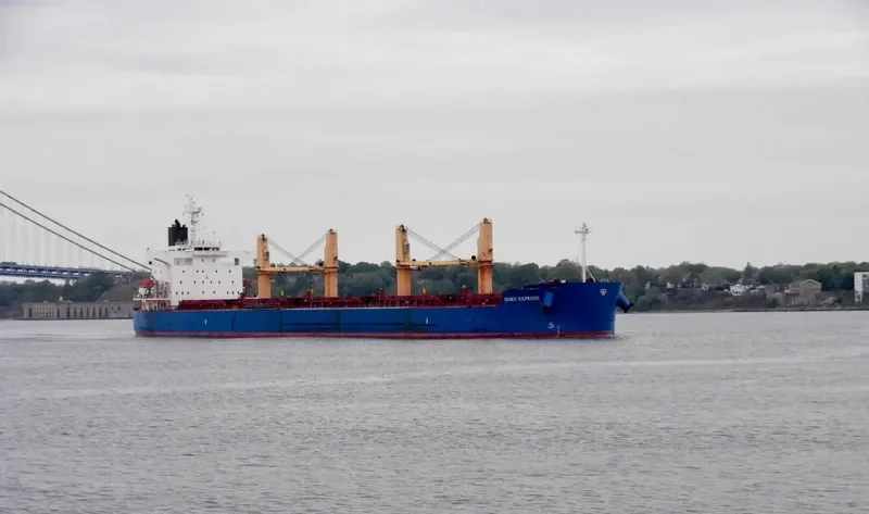 IRIS EXPRESS Bulk Carrier IMO 9403114 photo 7