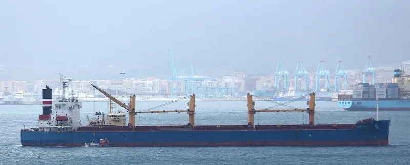 IRIS EXPRESS Bulk Carrier IMO 9403114 photo 9
