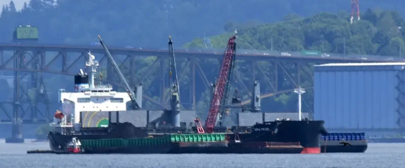 VIRONO PRIDE Bulk Carrier IMO 9403138 photo 4