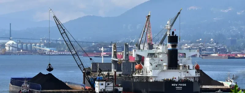 VIRONO PRIDE Bulk Carrier IMO 9403138 photo 5
