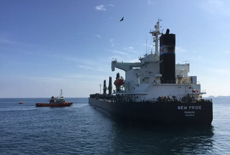VIRONO PRIDE Bulk Carrier IMO 9403138 photo 8