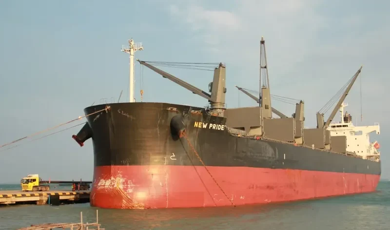VIRONO PRIDE Bulk Carrier IMO 9403138 photo 10