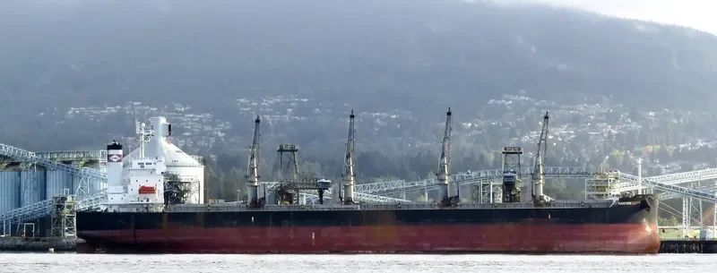 THOR CHAIYO Bulk Carrier IMO 9403140 photo 3
