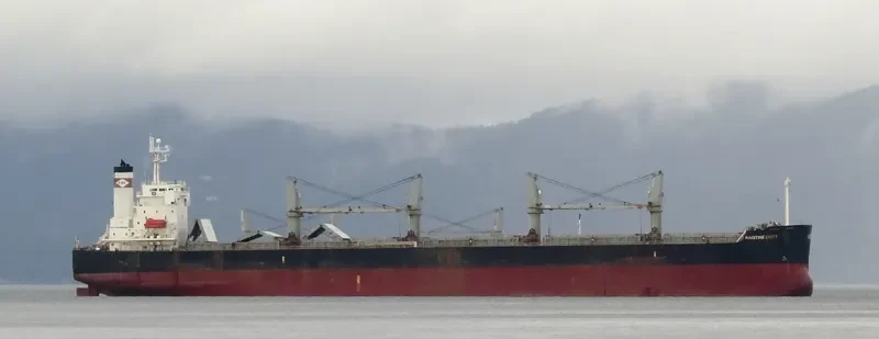 THOR CHAIYO Bulk Carrier IMO 9403140 photo 7